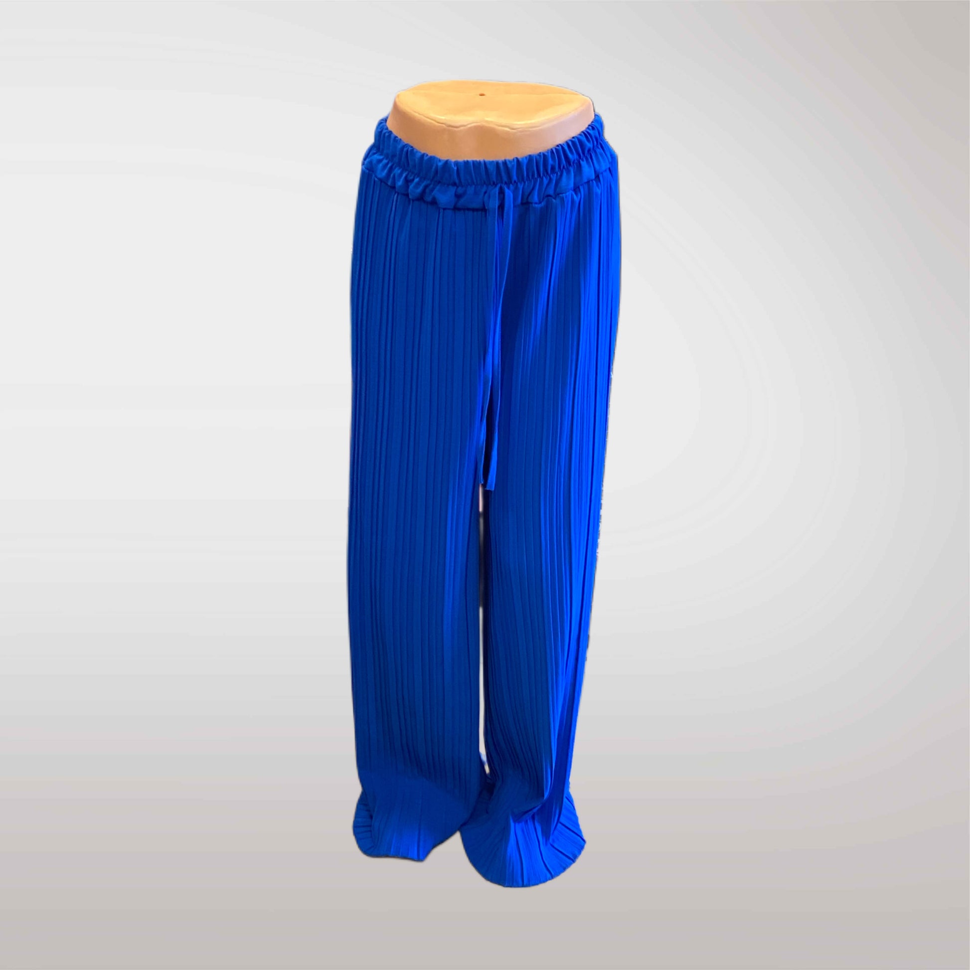 Wide Elastic Pleated Trousers