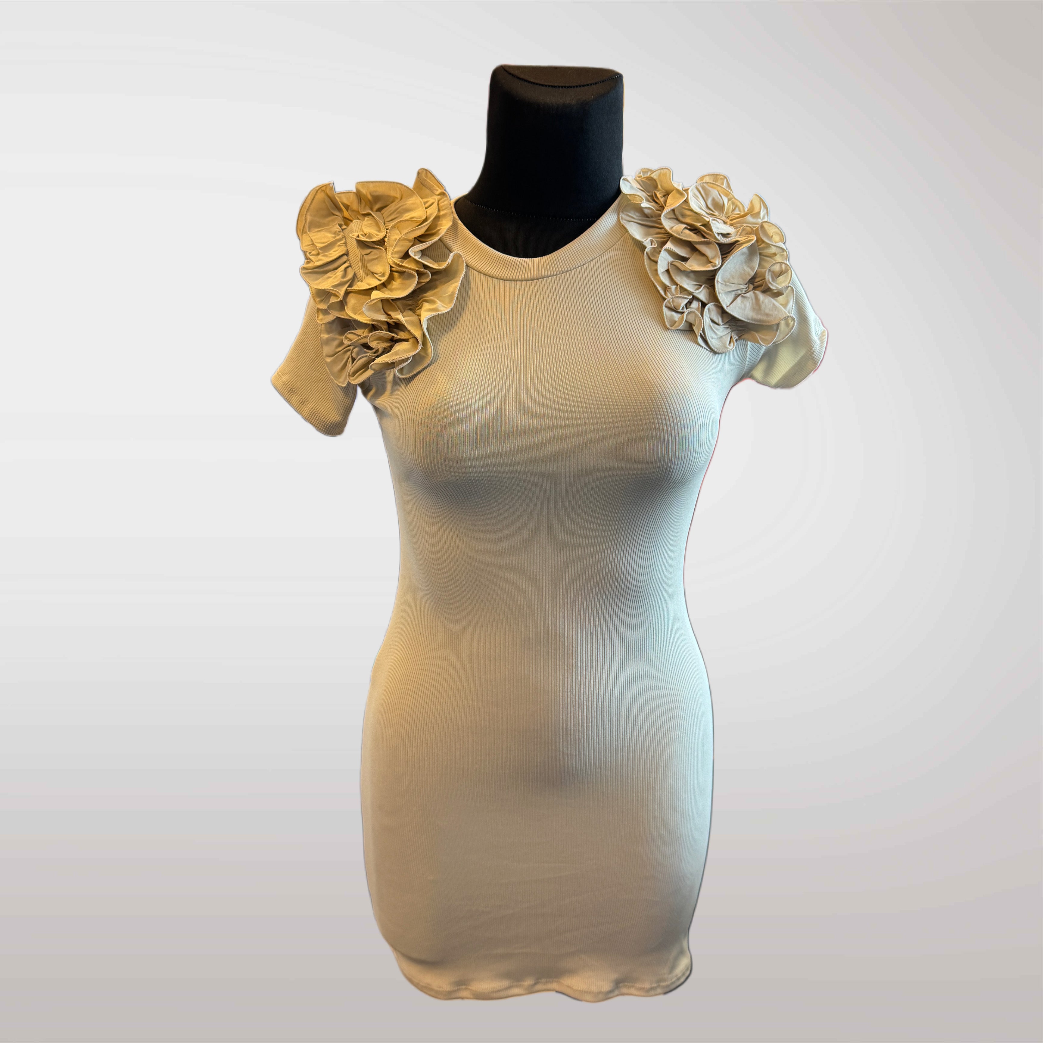 13a317fd9d43bb5e9f1cc7676a84a23e