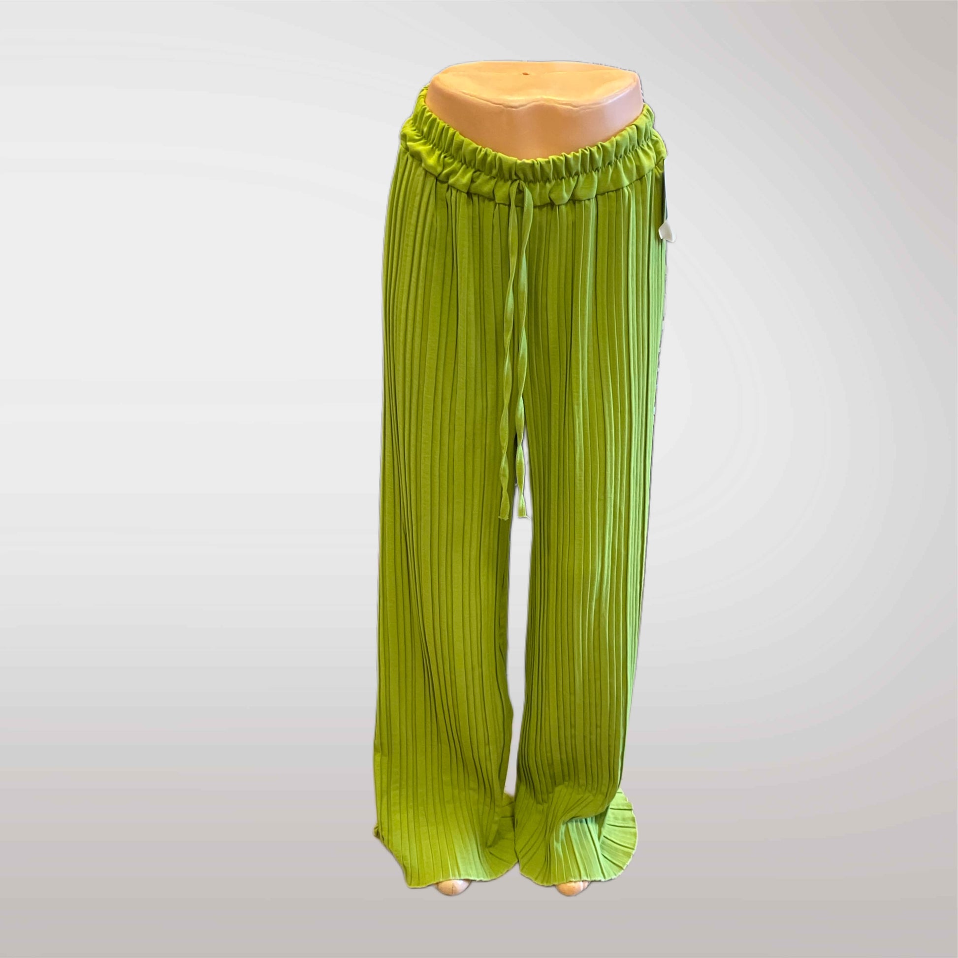 Wide Elastic Pleated Trousers
